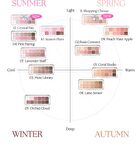 Pro Eye Palette Air Luxury Koshort Special Edition - 2 Types - #11 Shopping Cheese