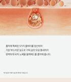 Aprilskin Carrotene Pore Clay Mask - 100g