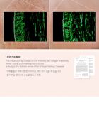 Collagen Glow Booster Serum - 15ml