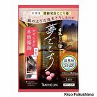 Bathclin Famous Japanese Hot Springs Yume Gokochi Bath Salt - Oita Nagayu - 40g
