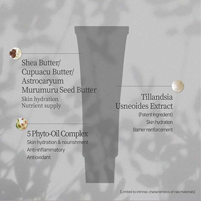 Pestlo Ourecipe Scented Vegan Hand Cream - 2 Types - T003
