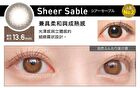ReVIA 1 Month Color Lens Pale Mirage 1 pc or 2 pcs - P-6.00 (1 pc)