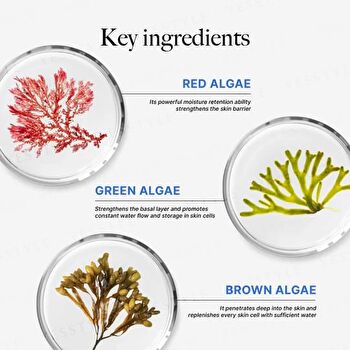 Ocean Elixir Multi-Algae Hydrating Eye Gel - 20ml