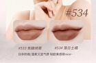 Light Matte Long Lasting Lipstick - 4 Colors - 534# - 3.6g