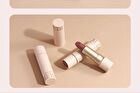 Light Matte Long Lasting Lipstick - 4 Colors - 534# - 3.6g
