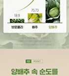 Cabbage Tablets - 300mg x 200 tablets