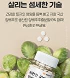 Cabbage Tablets - 300mg x 200 tablets