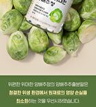 Cabbage Tablets - 300mg x 200 tablets