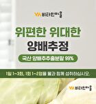 Cabbage Tablets - 300mg x 200 tablets