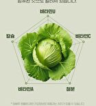 Cabbage Tablets - 300mg x 200 tablets