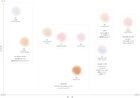Kose DECORTE Loose Powder - 01 Crystal Translucent - 20g