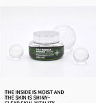 Cica Madecassoside Cream - 55ml