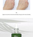 Cica Madecassoside Ampoule - 35ml