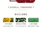 Light Aroma Steam Eye Mask - 4 Types - South Sunrise - 1 box (14pcs)