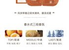 Light Aroma Steam Eye Mask - 4 Types - South Sunrise - 1 box (14pcs)