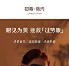 Light Aroma Steam Eye Mask - 4 Types - South Sunrise - 1 box (14pcs)