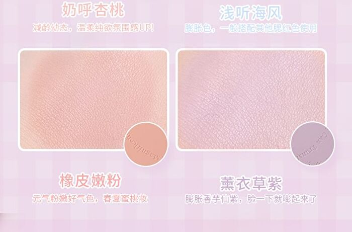 4 Colors Blusher Palette - 2 Colors - #2