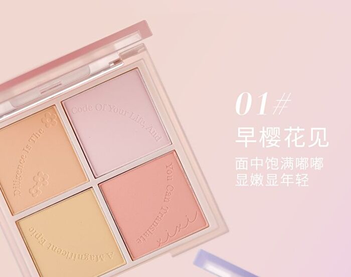 4 Colors Blusher Palette - 2 Colors - #2