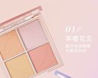 4 Colors Blusher Palette - 2 Colors - #2