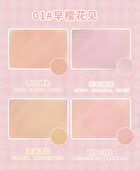4 Colors Blusher Palette - 2 Colors - #2