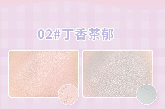 4 Colors Blusher Palette - 2 Colors - #2