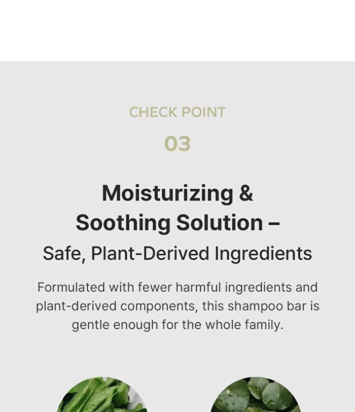 The RIGHT Shampoo Bar For Mid-Dry Scalp - 3 Types - 2026 Version - Basil & Vetiver