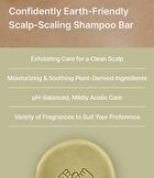 The RIGHT Shampoo Bar For Mid-Dry Scalp - 3 Types - 2026 Version - Basil & Vetiver