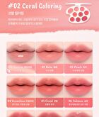 Mood Painting Lip & Cheek Palette - 4 Types - #04 Rose Coloring