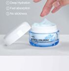 Jumiso Waterfull Hyaluronic Acid Cream Jumbo - 2024 Version - 100ml