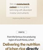 Brightening Milk Rice Cream - 100ml
