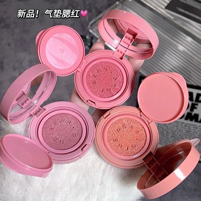 Air Cushion Blusher- 3 Colors - #301 - 3.5g