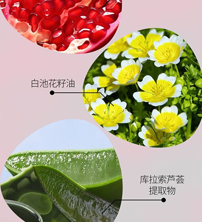 Veecci Essence Long-Lasting Air Cushion - 2 Colors - K02# Ivory - 10g