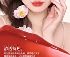 Hydraquench Lip Gloss - 6 Colors - 020# Cinnamon Brown - 3.5g