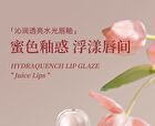 Hydraquench Lip Gloss - 6 Colors - 020# Cinnamon Brown - 3.5g