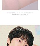 V Highlighter Soda Café Collection - 2 Colors - #02 Clear Flash