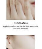 Low pH pHarrier Toner - 300ml