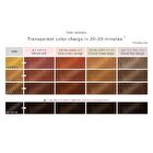 Liese Bleach On Color Bubble Hair Color Kit - Ranunculus Orange - 108ml