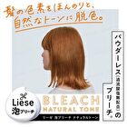 Liese Foam Bleach - Natural Tone - 108ml