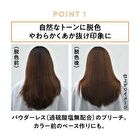 Liese Foam Bleach - Natural Tone - 108ml