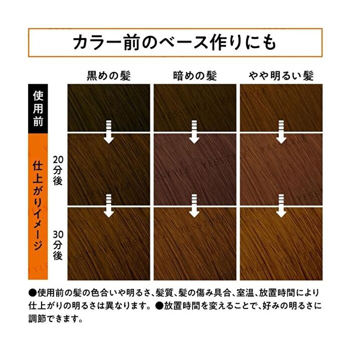 Liese Foam Bleach - Natural Tone - 108ml