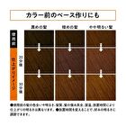 Liese Foam Bleach - Natural Tone - 108ml