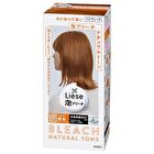 Liese Foam Bleach - Natural Tone - 108ml
