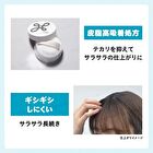 Liese Bangs Reset Powder - 5g