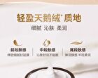 Tom Mark Firming Elastic Primer Cream - 30g