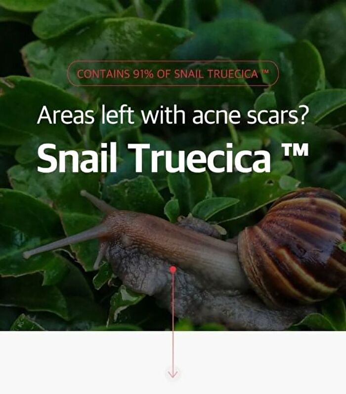 Snail Truecica Miracle Repair Toner - 2024 Version - 150ml