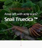 Snail Truecica Miracle Repair Toner - 2024 Version - 150ml