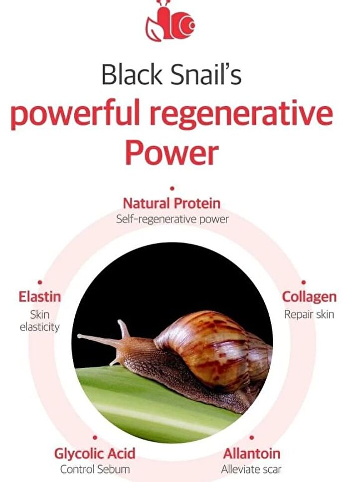Snail Truecica Miracle Repair Toner - 2024 Version - 150ml