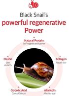 Snail Truecica Miracle Repair Toner - 2024 Version - 150ml