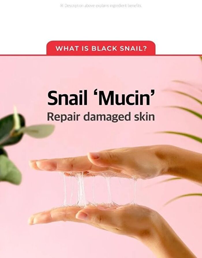 Snail Truecica Miracle Repair Toner - 2024 Version - 150ml