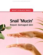 Snail Truecica Miracle Repair Toner - 2024 Version - 150ml
